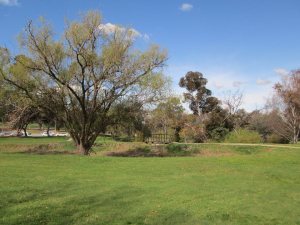A bridge on the CSU campus in Wagga.