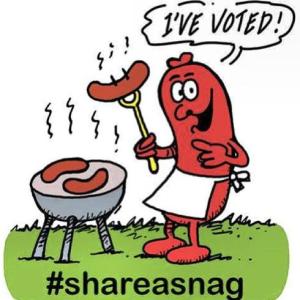 Yes, this is what motivates most voters in Australia. They have to wait for the weekly trip to Bunnings the rest of the year...